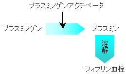 【プラスミンによるフィブリン血栓の溶解】 【プラスミンによるフィブリン血栓の溶解】