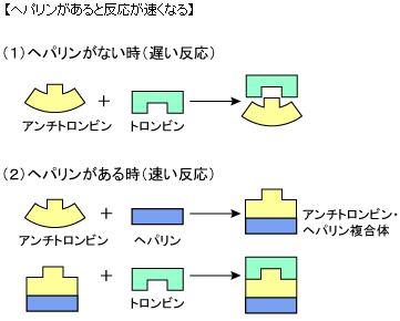 【ヘパリンがあると反応が速くなる】 【ヘパリンがあると反応が速くなる】